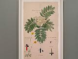 MoMA 005