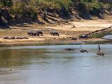 Zambia 007