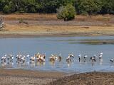 Zambia 011