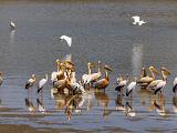 Zambia 012
