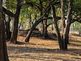 Zambia 021