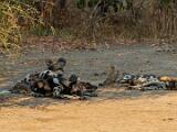 Zambia 022