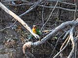 Zambia 027