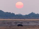 Zambia 032