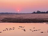 Zambia 033