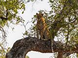 Zambia 053