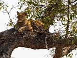 Zambia 055