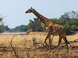 Zambia 057
