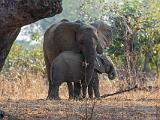 Zambia 059