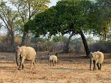 Zambia 060