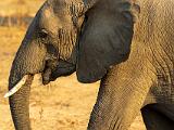 Zambia 061