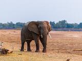 Zambia 070