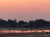 Zambia 071