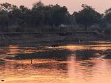 Zambia 072