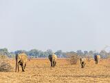 Zambia 078