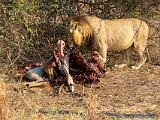 Zambia 081