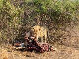 Zambia 089
