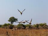 Zambia 090