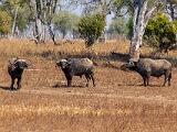 Zambia 096