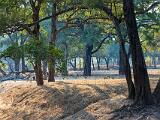 Zambia 097