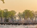 Zambia 105