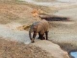 Zambia 147