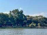 Zambia 184