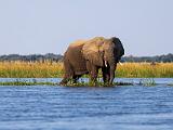 Zambia 202