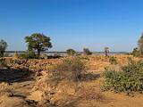 Zambia 247