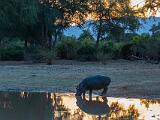 Zambia 269