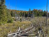 Vermont 014