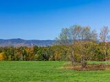 09-C Fall Foliage