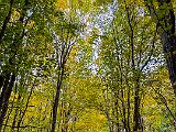 Shelburne Farms 004