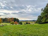 Shelburne Farms 007