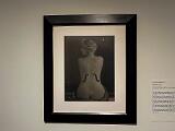 Met Museum 023