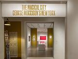Met Museum 024
