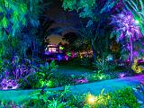 Lights 001