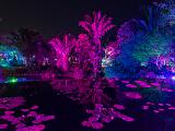 Lights 004