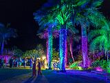 Lights 007