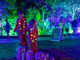 Lights 008