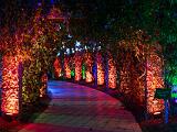 Lights 009
