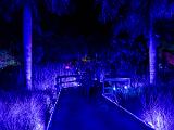 Lights 010
