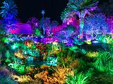 Lights 012