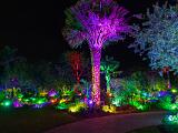 Lights 013