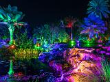 Lights 014