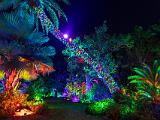 Lights 015