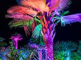 Lights 016