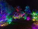 Lights 017