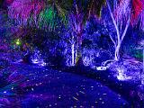Lights 018