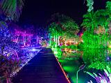 Lights 022